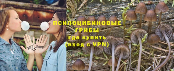 каннабис Аркадак