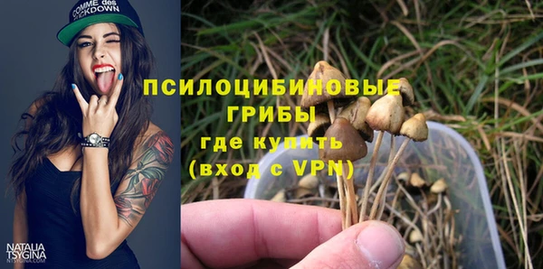 ГАЛЛЮЦИНОГЕННЫЕ ГРИБЫ Армянск