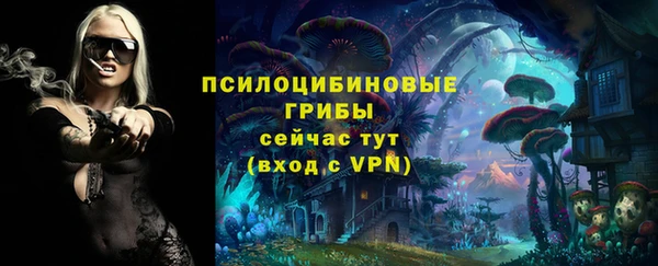 ГАЛЛЮЦИНОГЕННЫЕ ГРИБЫ Армянск