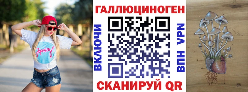 blacksprut зеркало  Волгоград  Псилоцибиновые грибы MAGIC MUSHROOMS  где найти  